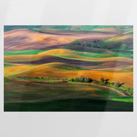 PO-075W050