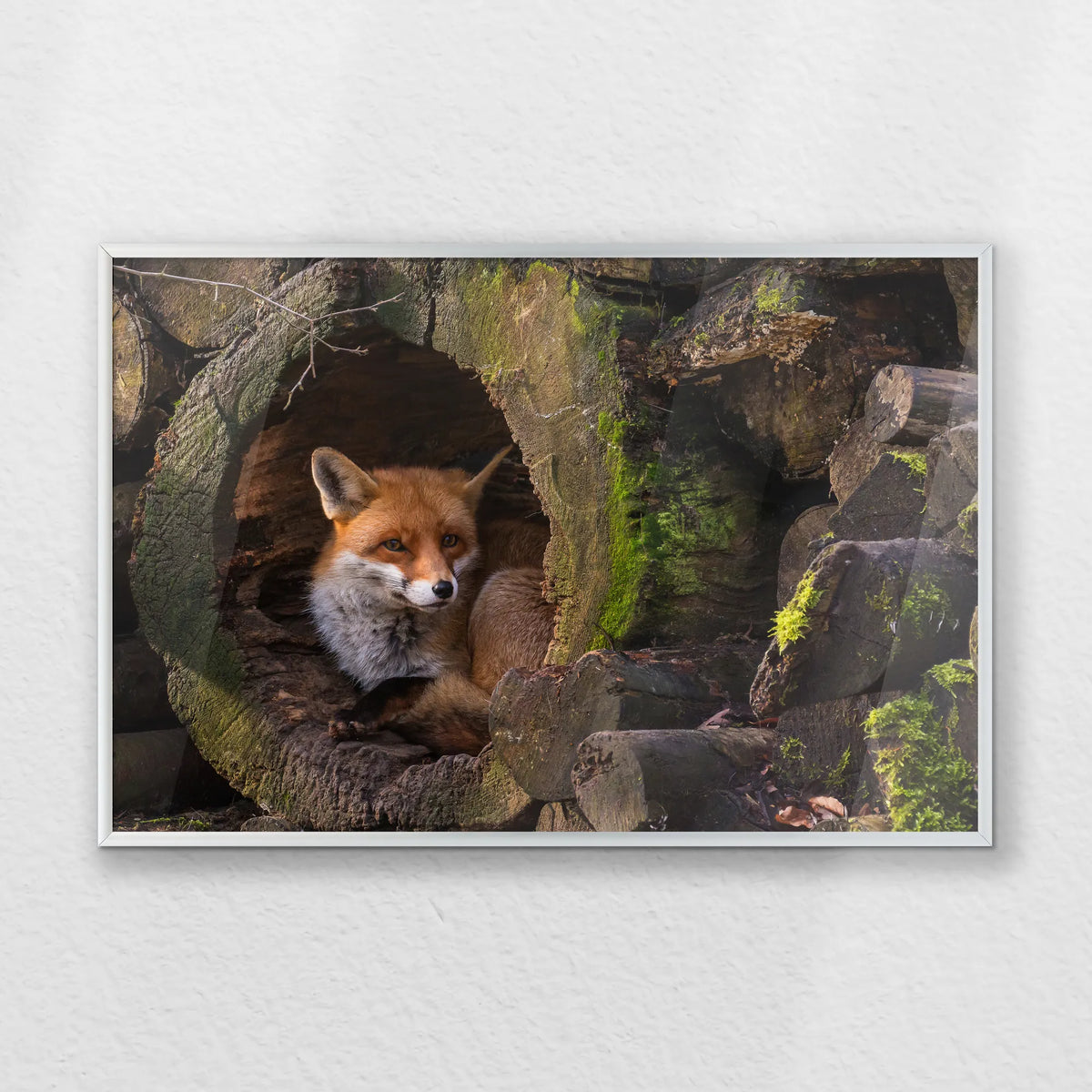 PS-060W040