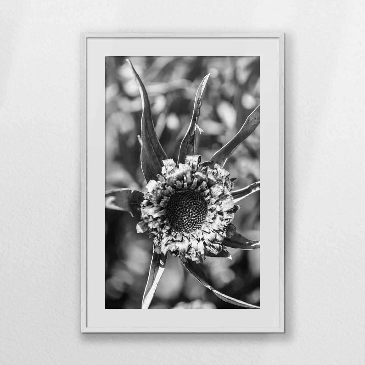 PWP070W100
