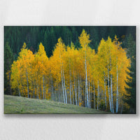 LW-045W030