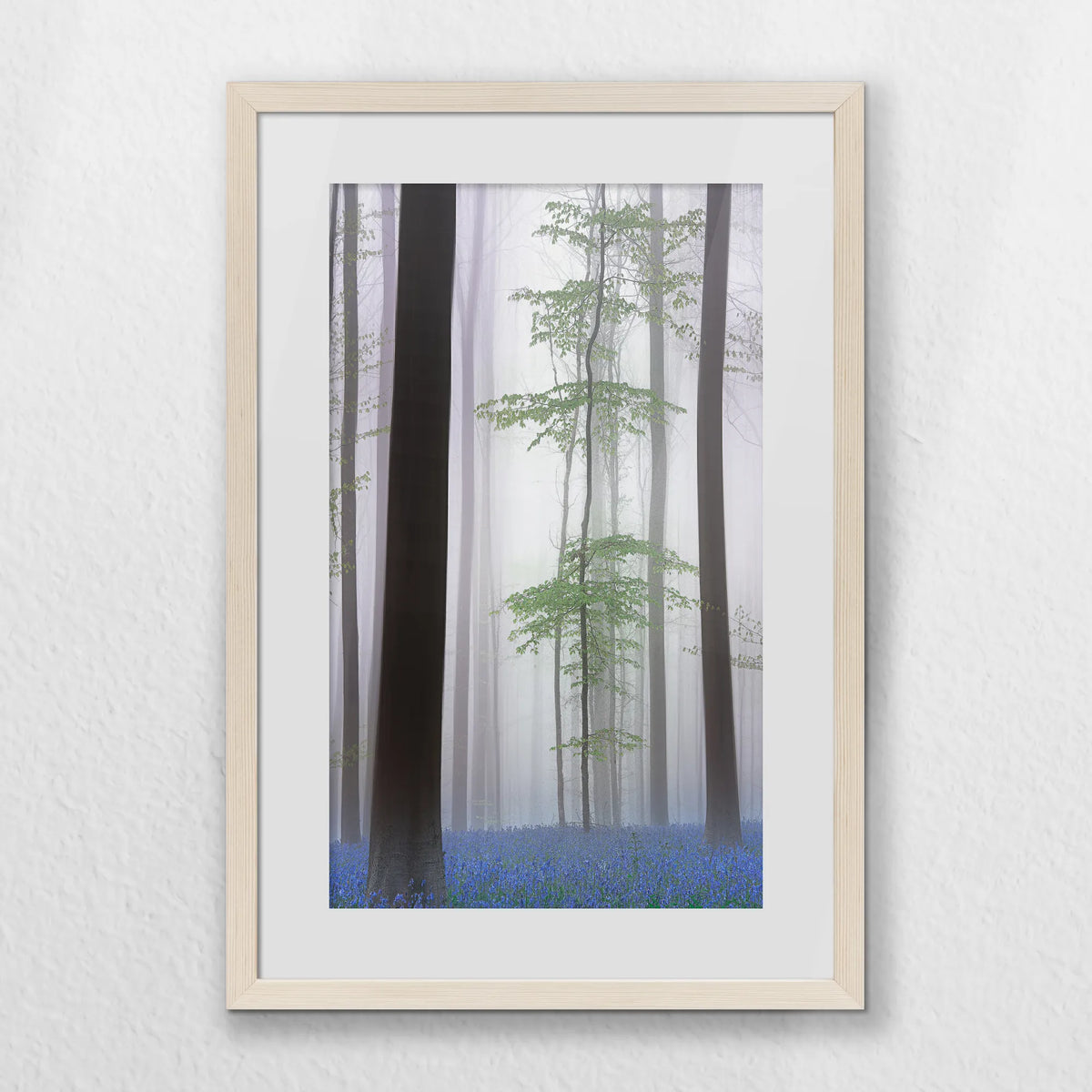 PNP040W060