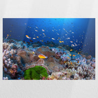 PO-060W040