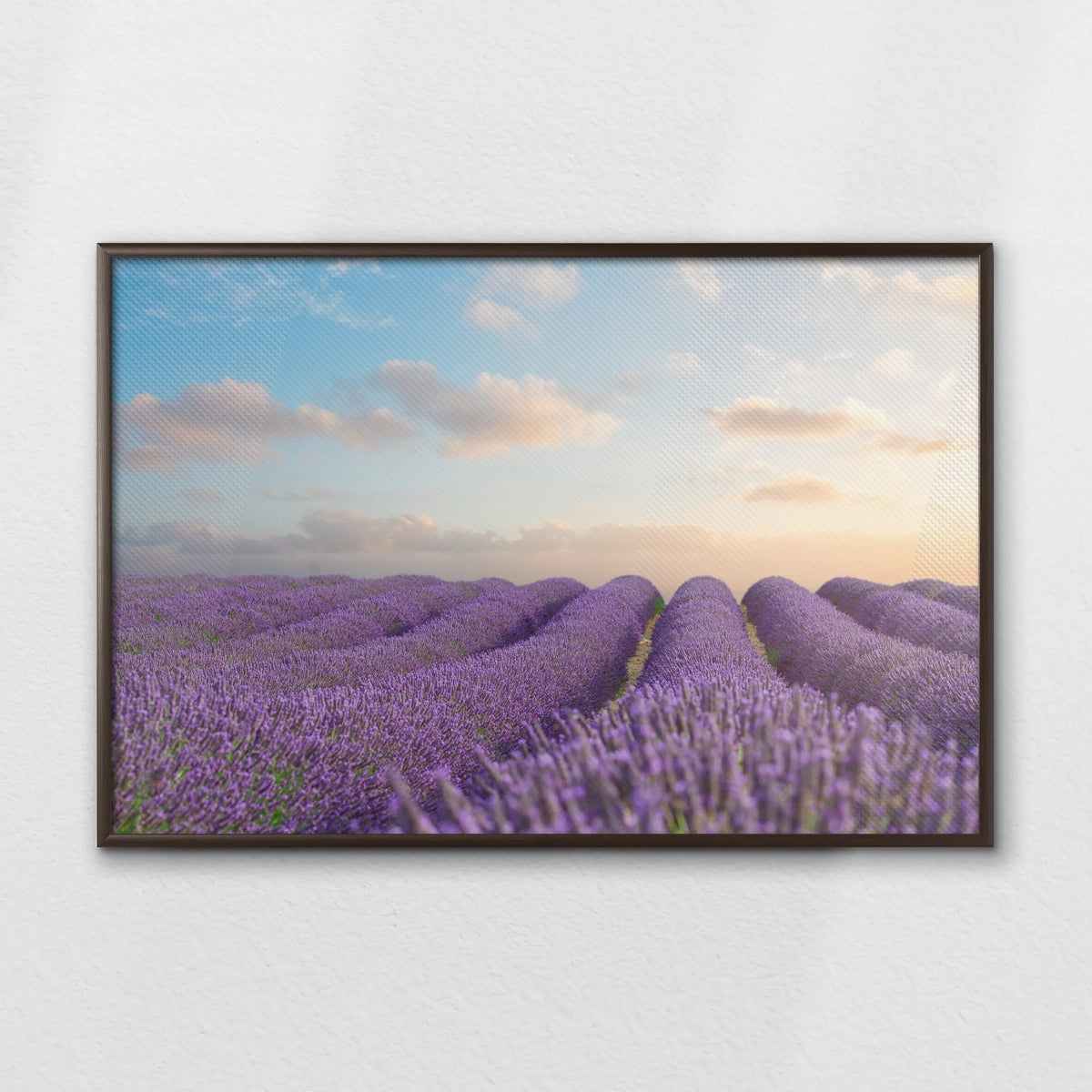 LWN100W070
