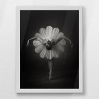 LWW030W040