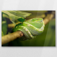 AL-060W040
