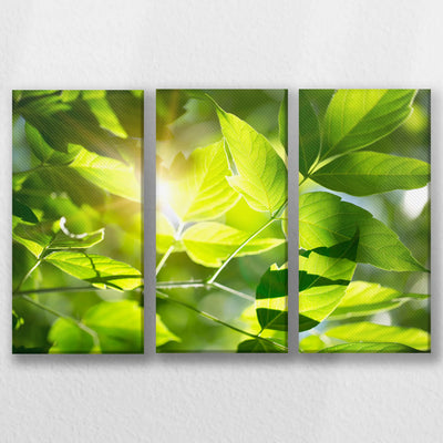LW-060R040