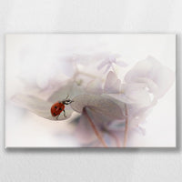 LW-060W040