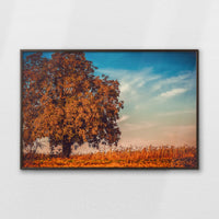 LWN120W080