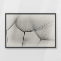 PK-093W062