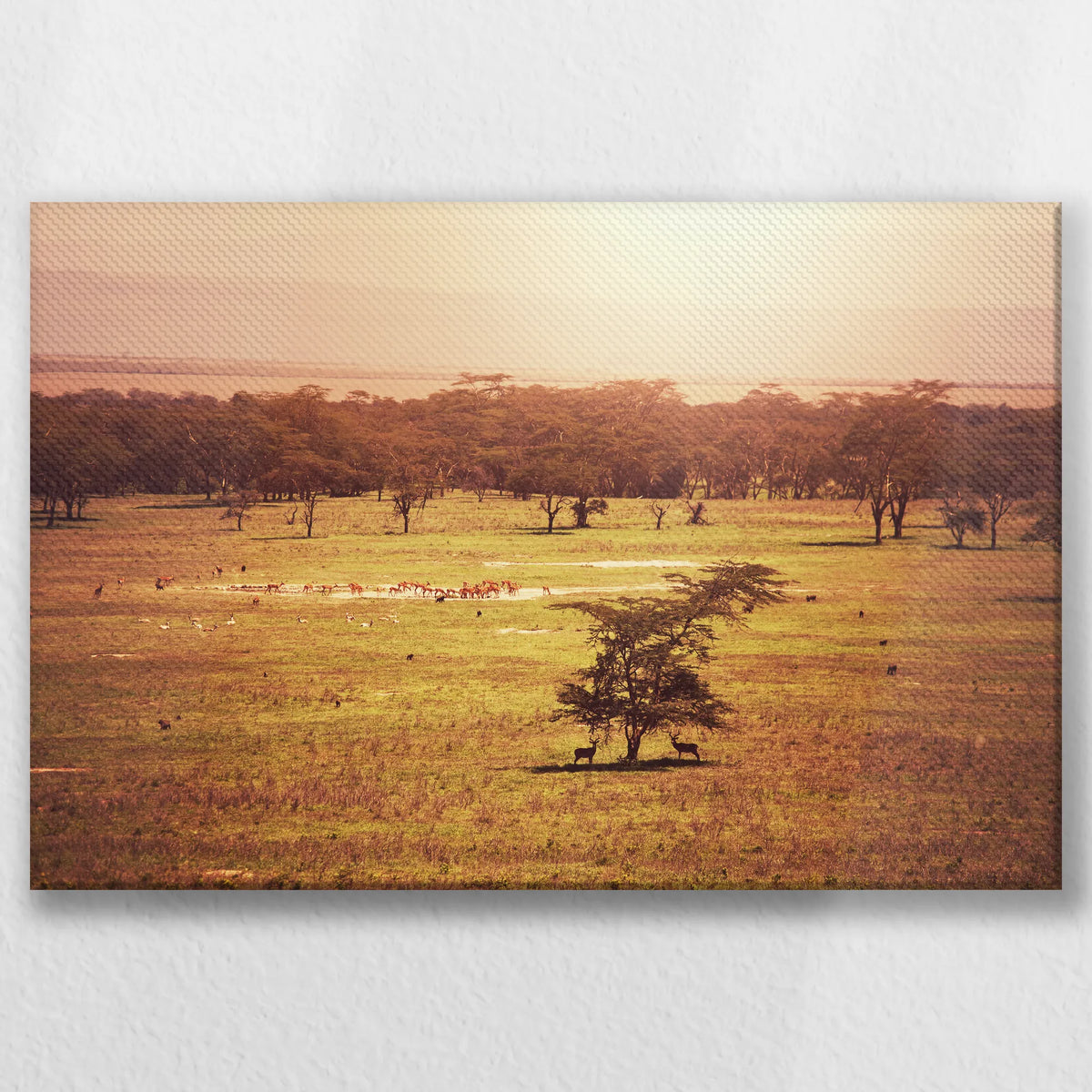 LW-045W030