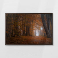 LWN120W080