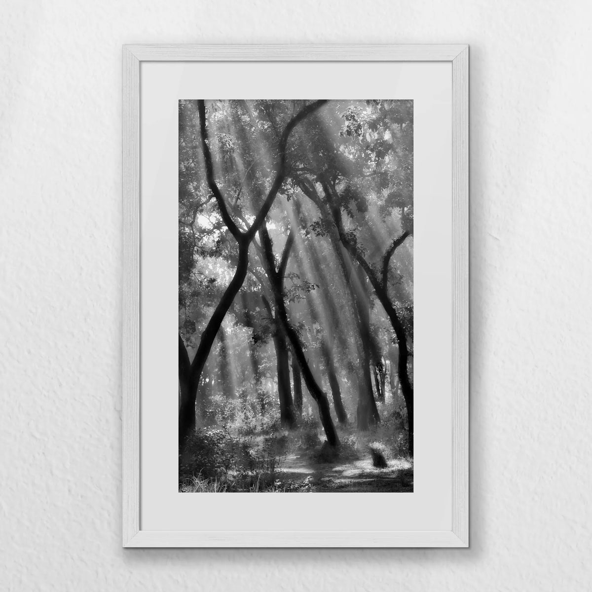PWP040W060
