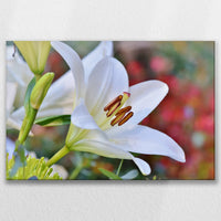 LW-090W060