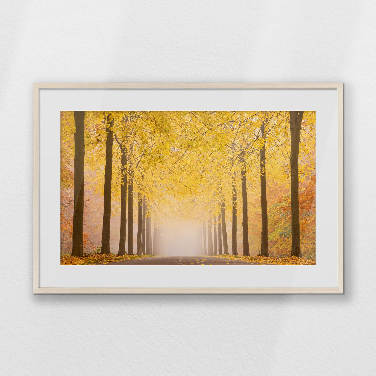 PNP093W062