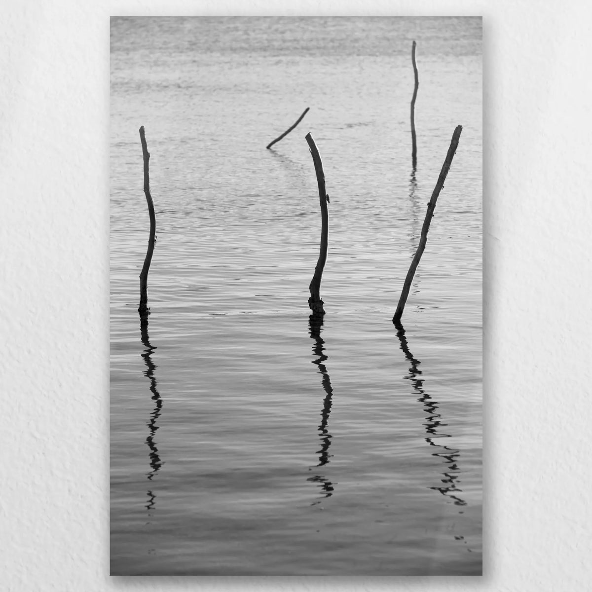 AL-020W030