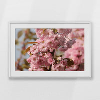 PWP100W070
