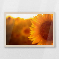 PN-060W040