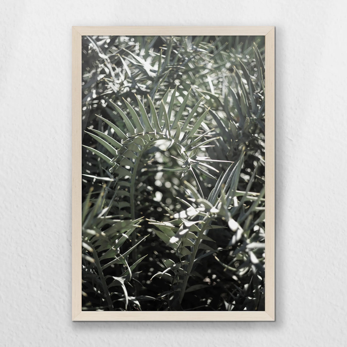 PN-040W060