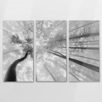 AC-150R100