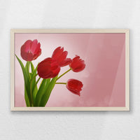 PN-060W040
