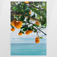 PO-050W075