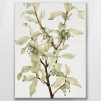 LW-075W100