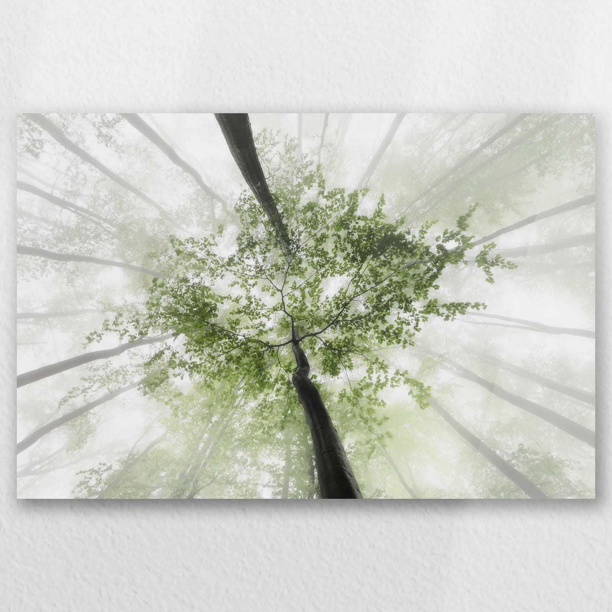 AC-045W030