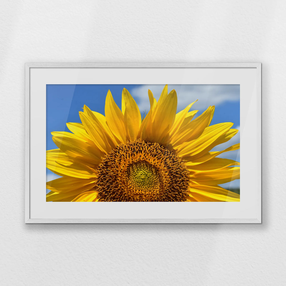 PWP093W062