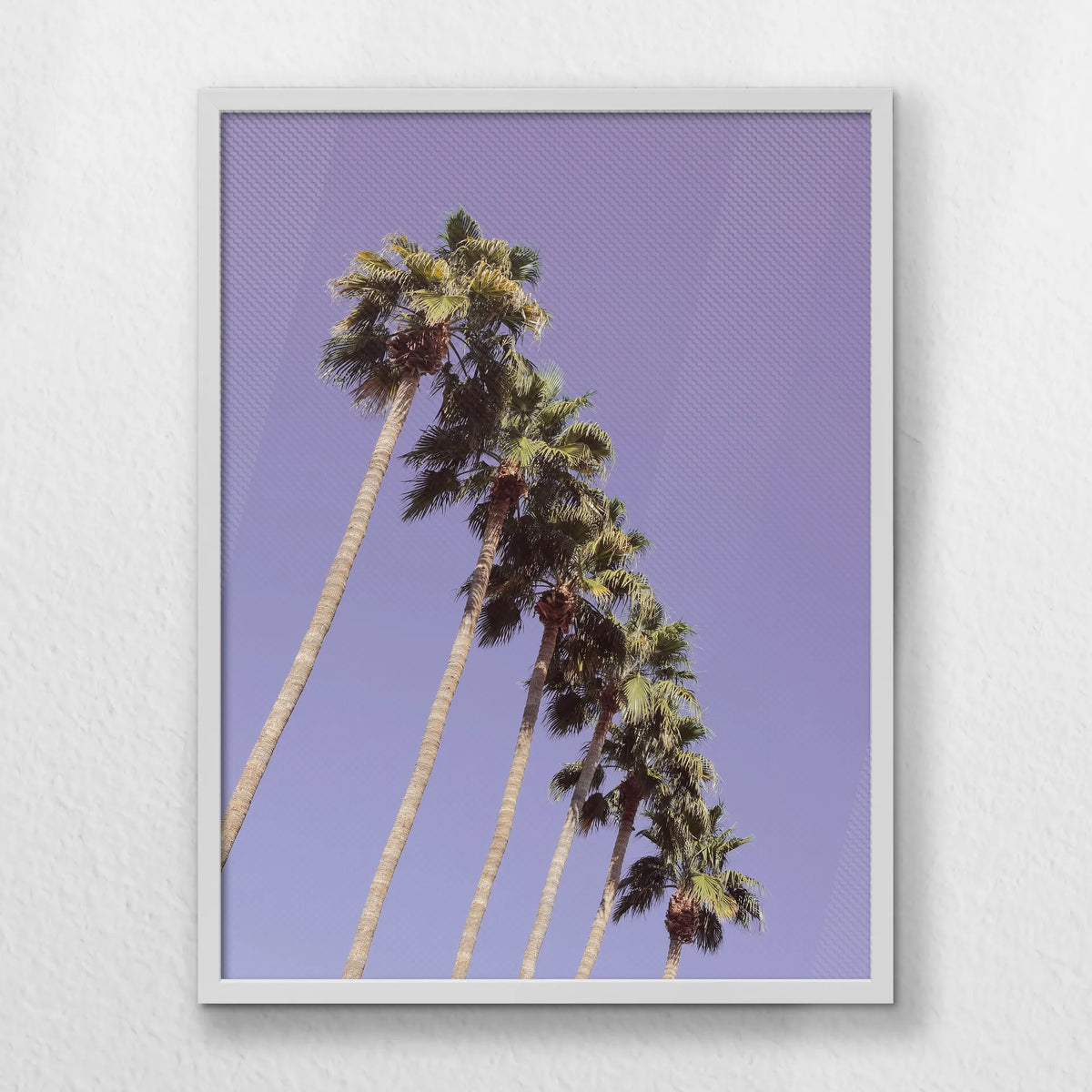 LWW060W080