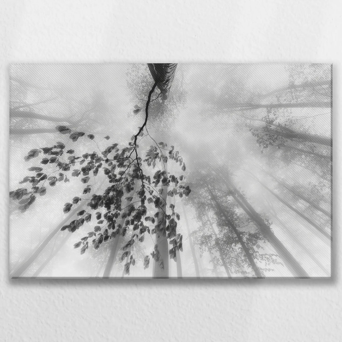 LW-075W050