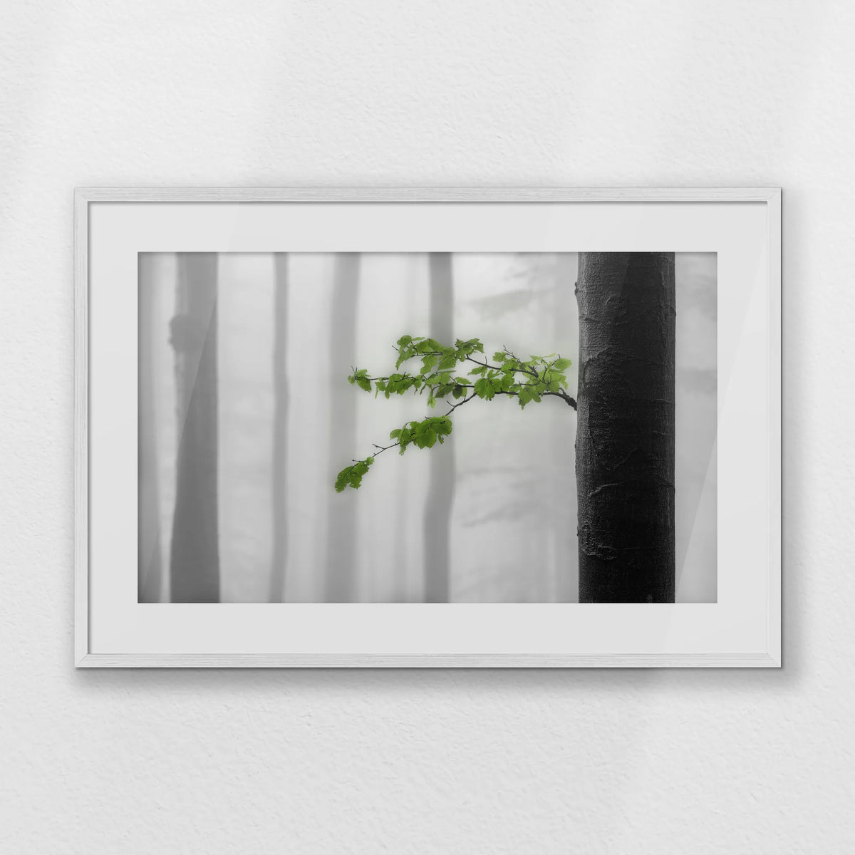 PWP093W062