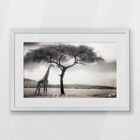 PWP060W040