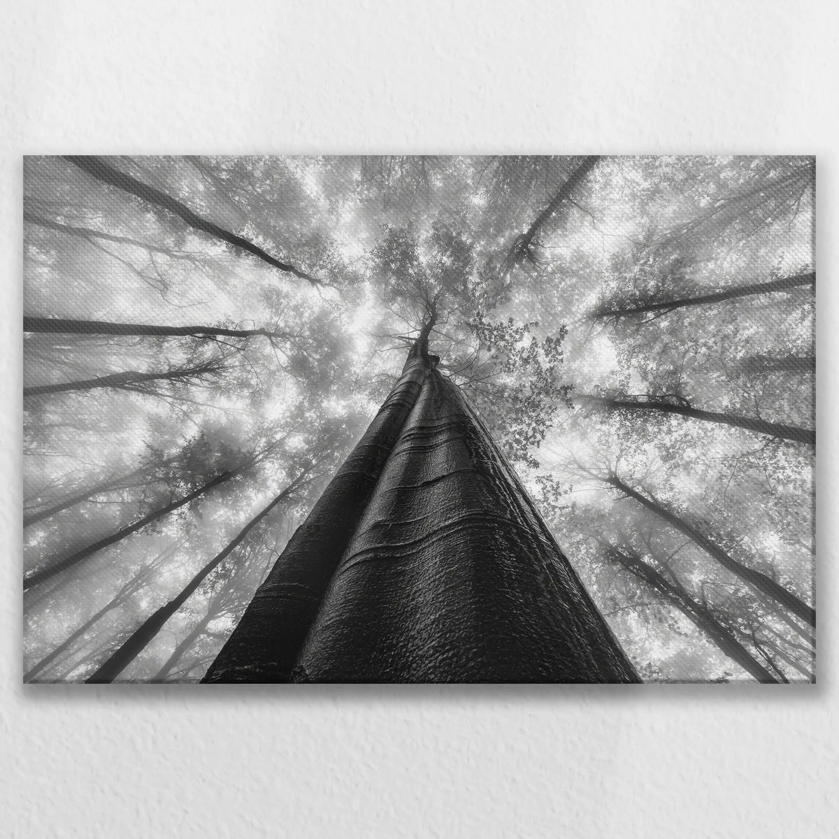 LW-075W050