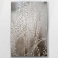 LW-050W075