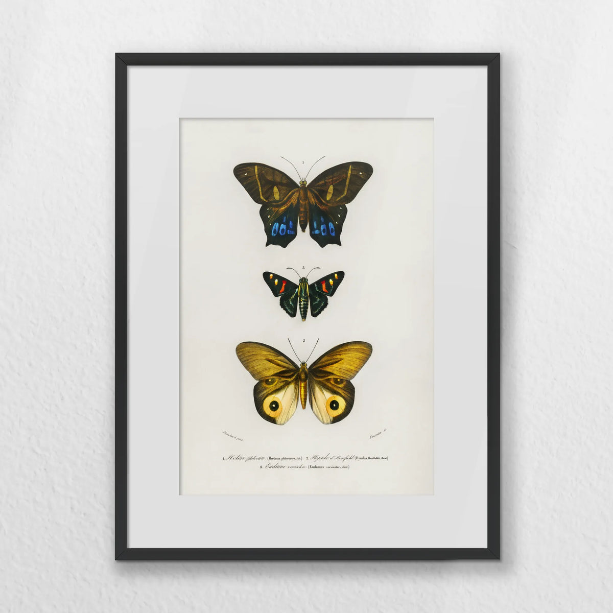 PBP030W040