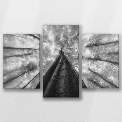 LW-060T040