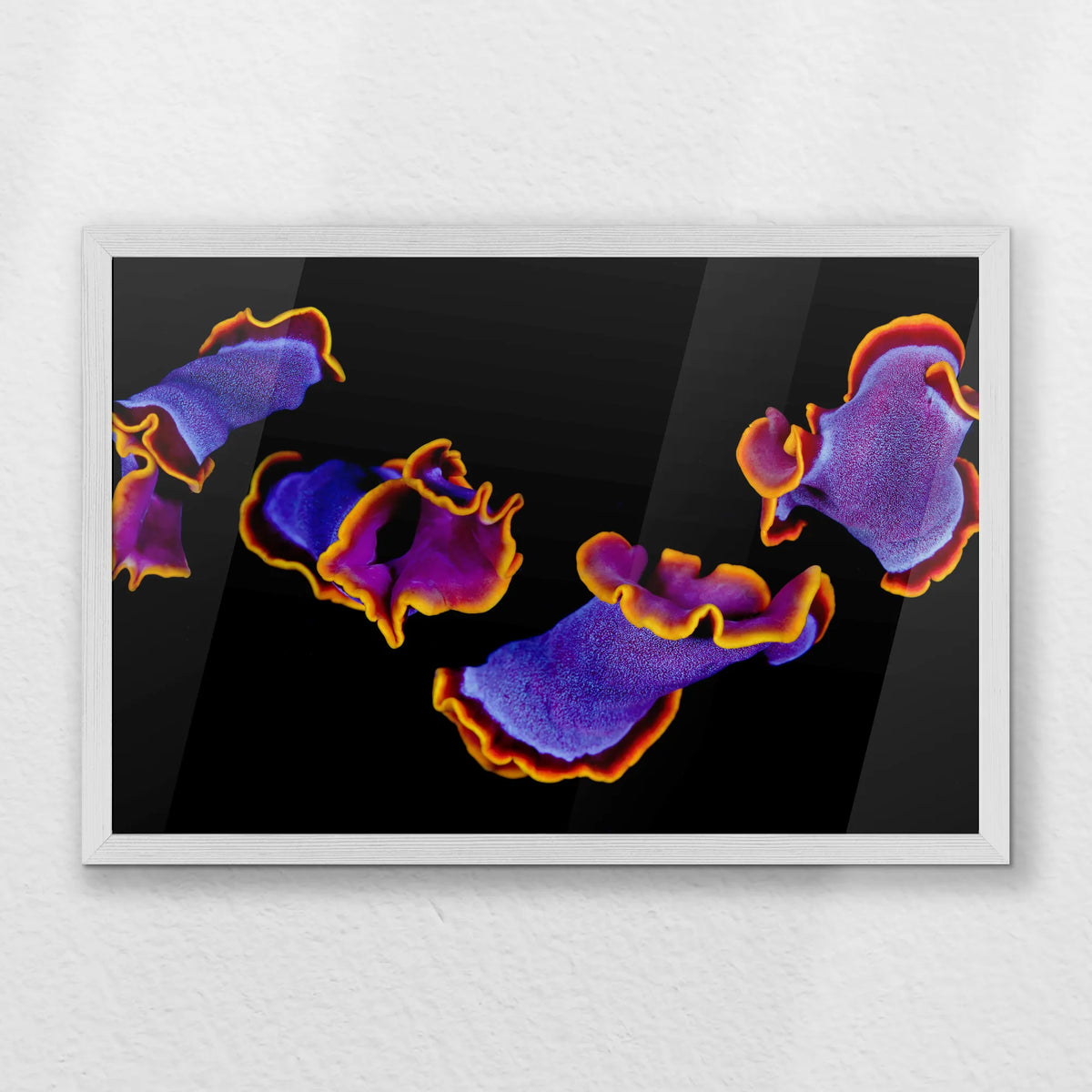 PW-060W040
