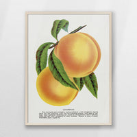 PN-060W080