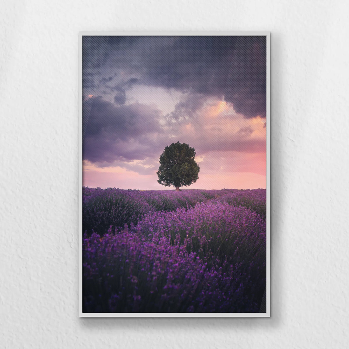 LWW080W120