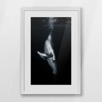 PWP040W060