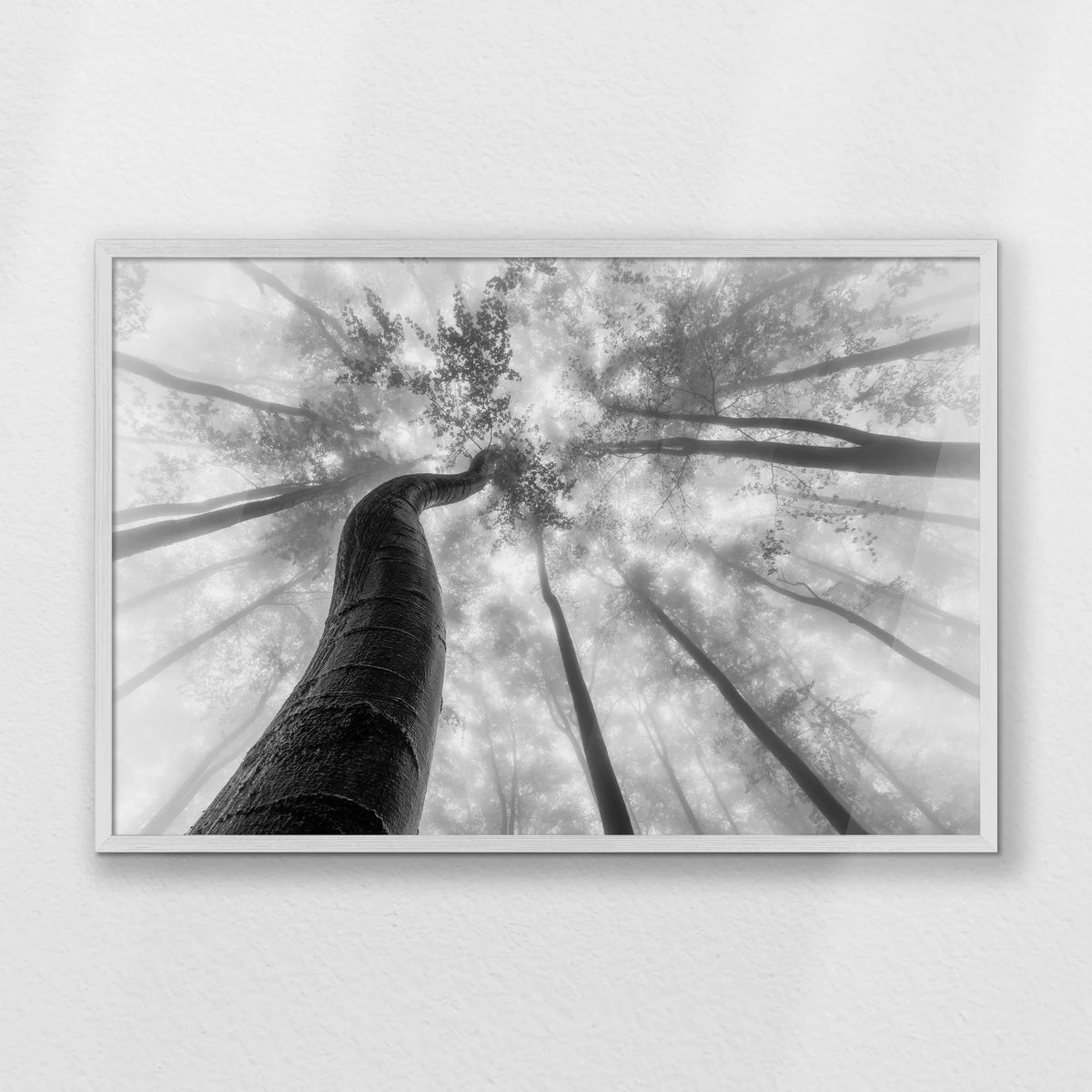 PW-093W062