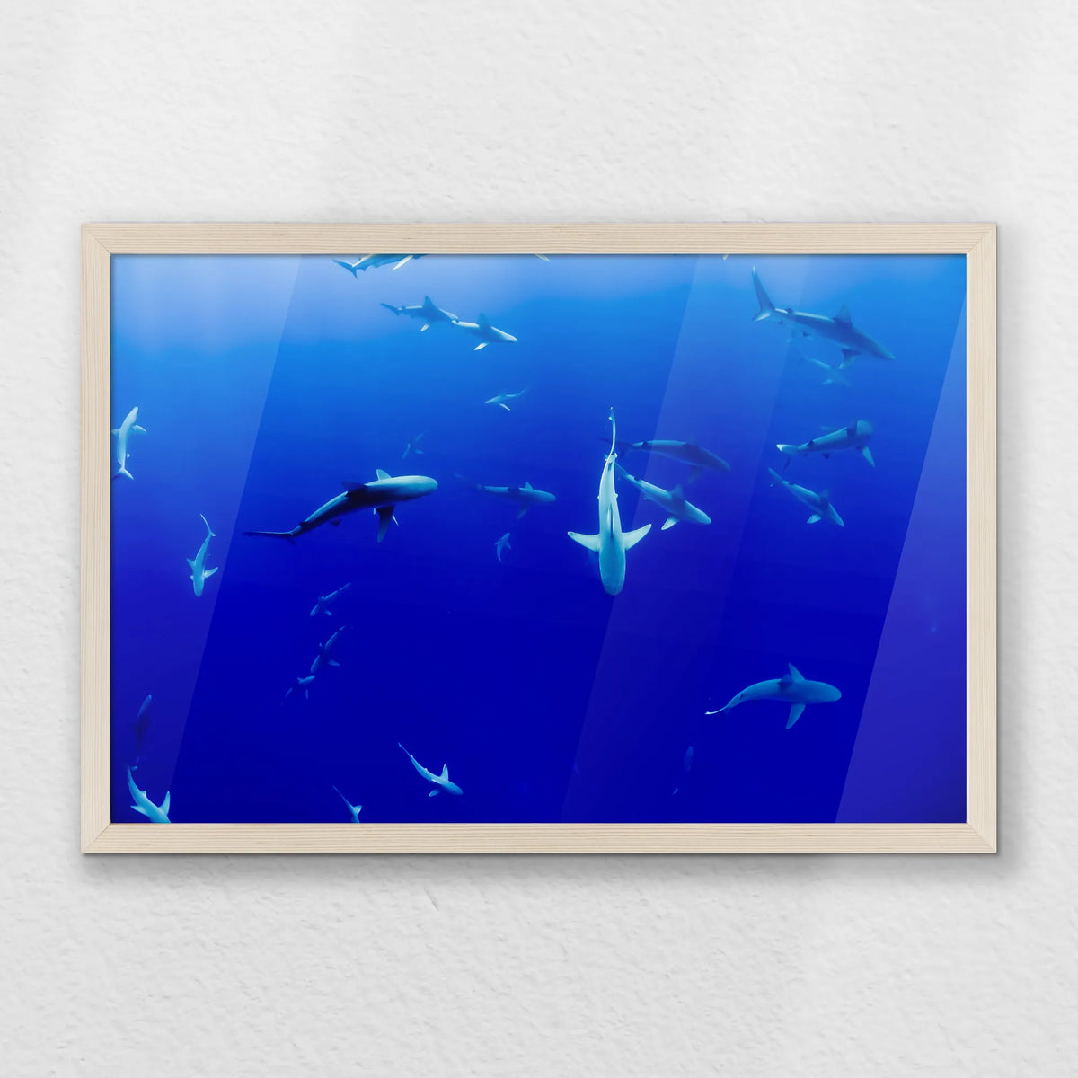 PN-060W040