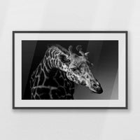 PKP100W070