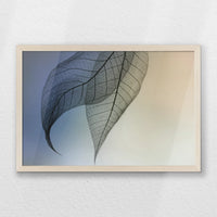 PN-060W040