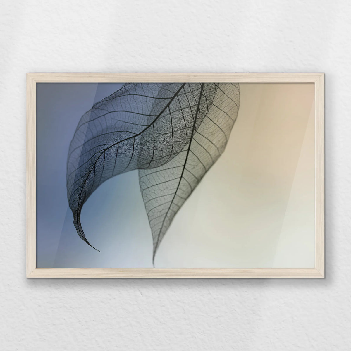 PN-060W040