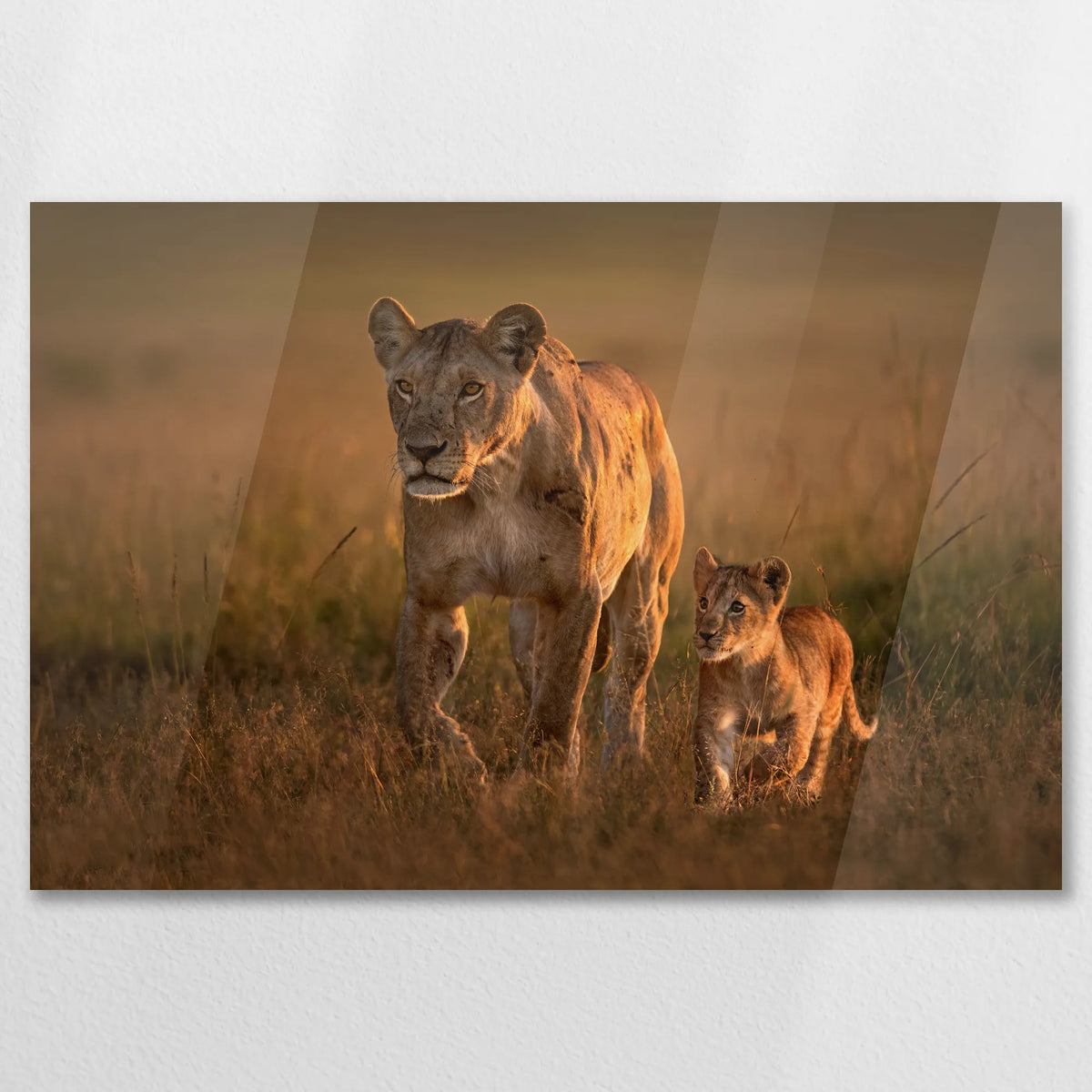 AC-090W060