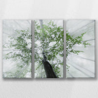 LW-060R040