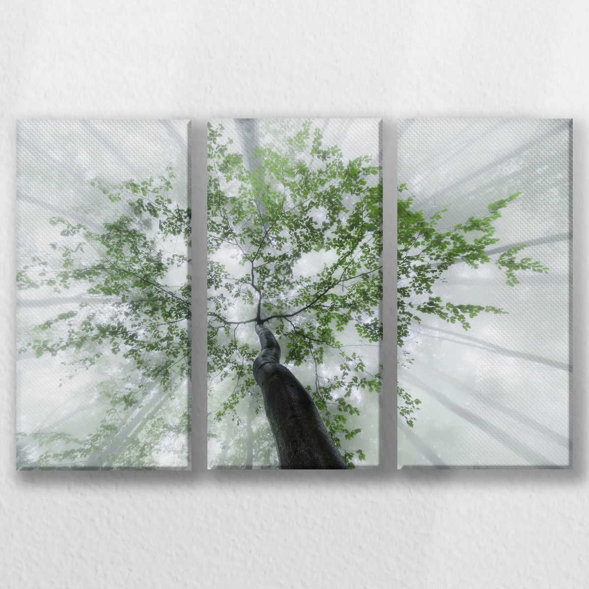 LW-060R040