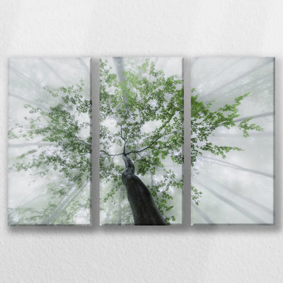 LW-060R040