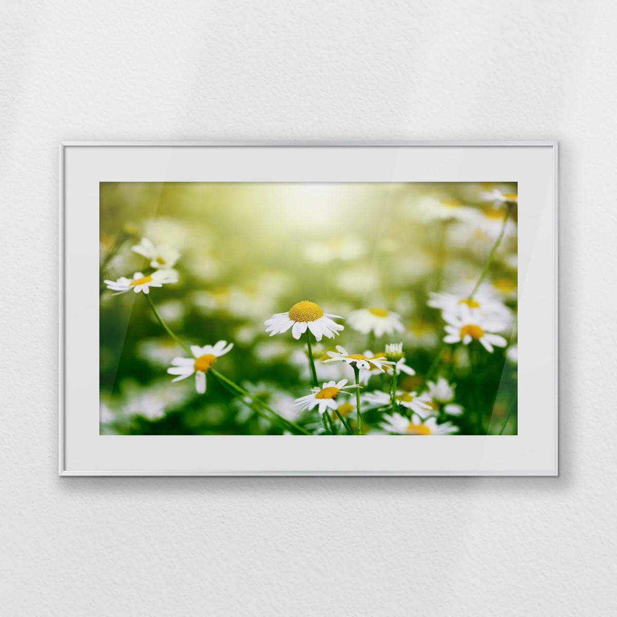 PSP093W062